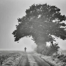 Photo art by Robert Kuavi: melancholic, foggy landscape in soft tones