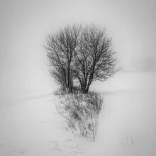Photo art by Robert Kuavi: tranquil winter landscape in the morning.