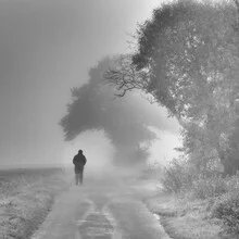Gloomy morning atmosphere with fog over a calm field