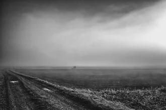 Peaceful landscape with fog, evoking a thoughtful, melancholic mood.