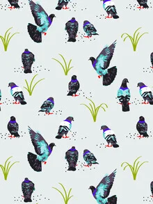 Illustration by Uma Gokhale: playful pigeons in soft colors
