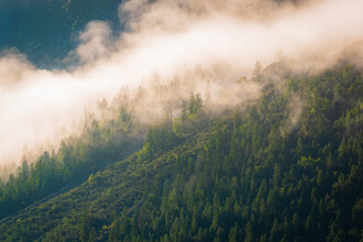 Martin Wasilewski, Summer Fog in the Alps (Austria, Europe)