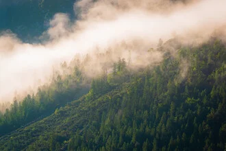 Fotokunst von Martin Wasilewski: sanfte Nebelschwaden in den Alpenlandschaften
