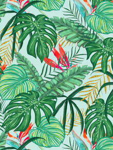 Uma Gokhale, The Tropics (Indien, Asien)