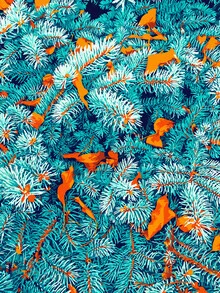 Illustration by Uma Gokhale: winter jungle landscape with plants and snow
