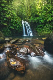 Photo art by Jean Claude Castor: waterfall in the jungle of Guadeloupe