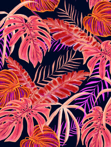 Uma Gokhale, Dark Tropical (Indien, Asien)