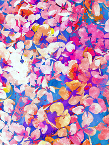 Uma Gokhale, Floral Abundance (Indien, Asien)