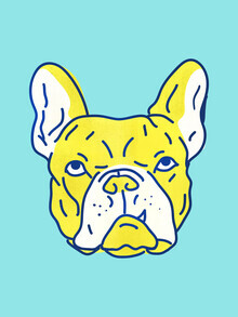 Ania Więcław, Yellow Bulldog (Poland, Europe)