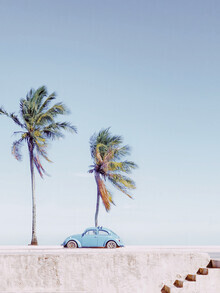 Thiago Quiuque, Fusca - Brazil, Latin America and Caribbean)