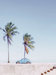 Farbige Fotokunst von Thiago Quiuque: ein Fusca unter Palmen in Brasilien
