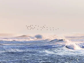 Photo art by Thiago Quiuque: gentle waves and a bird in sunlight over the ocean