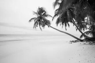 Relaxing sunbed on a Maldives beach, surrounded by palm trees and the blue ocean.