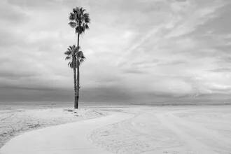 Photo art by Roman Becker: minimal beach scene with palm trees