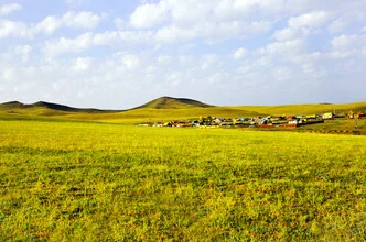 Vast landscape in Mongolia featuring gentle hills and a calm sky.
