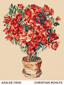 Art Classics, Christian Rohlfs: Azalea