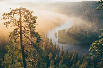 Photo art by Philipp Heigel: river bend surrounded by fog and trees at sunrise