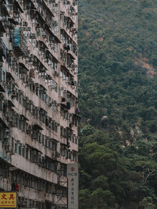 Luca Talarico, 50/50 - Hong Kong, Asien)