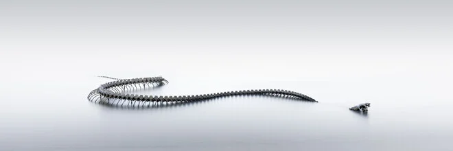 Photo art by Ronny Behnert: long exposure of a sea serpent in the water