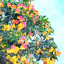 Uma Gokhale, Summer Bougainvillea Watercolor Painting (Indien, Asien)