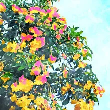 Wall art featuring vibrant Bougainvillea flowers in soft watercolors.