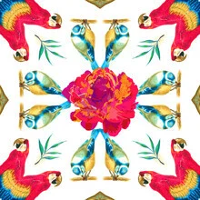 Wall art featuring a mandala of a tropical macaw in vibrant colors and geometric design.