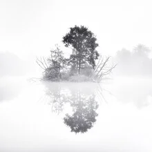 Photo art by Robert Kuavi: autumn fog landscape with a calm, melancholic feel