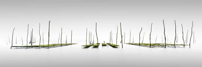 Photo art by Ronny Behnert: tranquil landscape with oyster nets in fog