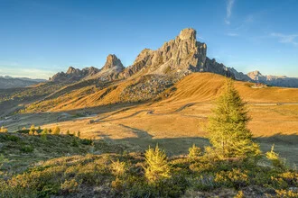 Photo art by Michael Valjak: Evening mood over the Dolomites with firs and mountains