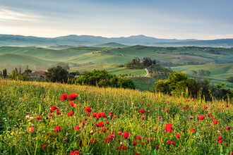 Michael Valjak, Spring in Tuscany (Italy, Europe)
