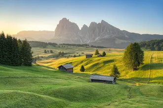 Wandbild von Michael Valjak: ruhige Sommermorgenstimmung auf der Seiser Alm