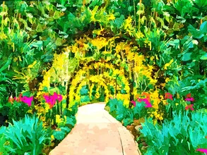Wall art by Uma Gokhale: vibrant botanical illustration featuring plants and trees