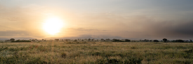 Dennis Wehrmann, Panorama sunrise Ishasha Sector - Queen Elisabeth National Park Uganda - Uganda, Afrika)