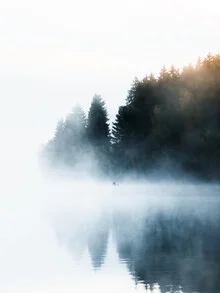 Mystischer Schwarzwald mit Nebel und herbstlichen Farben, sanfte Stimmung