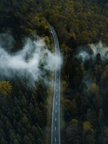 Fotokunst von Jan Pallmer: neblige Straße im Schwarzwald mit ruhiger Atmosphäre