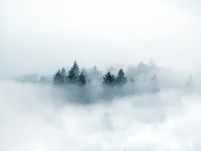 Photo art by Jan Pallmer: fog enveloping the Black Forest in autumn