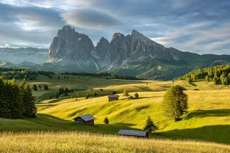 Fotokunst von Michael Valjak: Alpe di Siusi in Südtirol im ersten Morgenlicht
