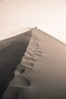 Fotokunst von Dennis Wehrmann: sanfte Sanddüne in der Namib-Wüste