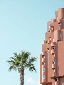 Fotokunst von Benjamin Quadflieg: Palmbaum im minimalistischen Stil