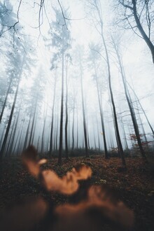 Patrick Monatsberger, Im Wald (Deutschland, Europa)
