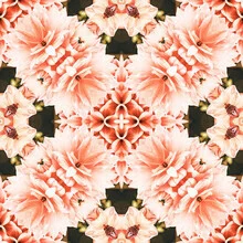 Illustration by Uma Gokhale: Blush Mandala with soft colors and geometric pattern