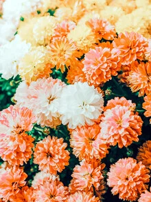 Wall art featuring floral motifs that depict a garden in vibrant colors.