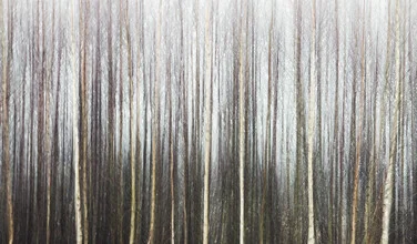 Photo art by Manuela Deigert: blurred trees creating a calm atmosphere.