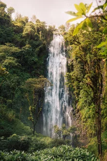 Fotokunst von Thomas Christian Keller: üppiger Dschungel mit Wasserfall in Tansania.