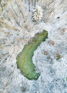 Photo art by Giedra Bartas: minimal depiction of an alien pod in nature.
