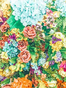Wall art: colorful floral illustration in a charming garden style