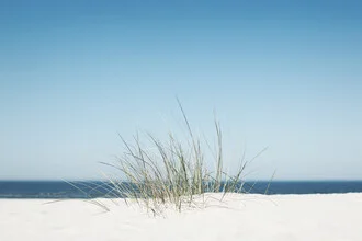 Fotokunst von Manuela Deigert: sanfte Gräser am Strand mit ruhiger Meeresstimmung