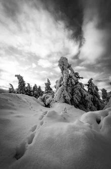 Snow-covered trail in the Harz, calm winter landscape with trees