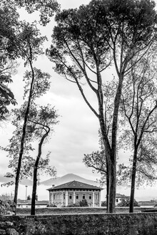 Photolovers ., In a park in Lucca (Italien, Europa)