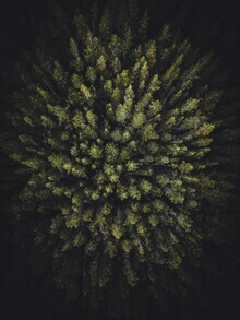 Patrick Monatsberger, Der Wald von Oben (Großbritannien, Europa)